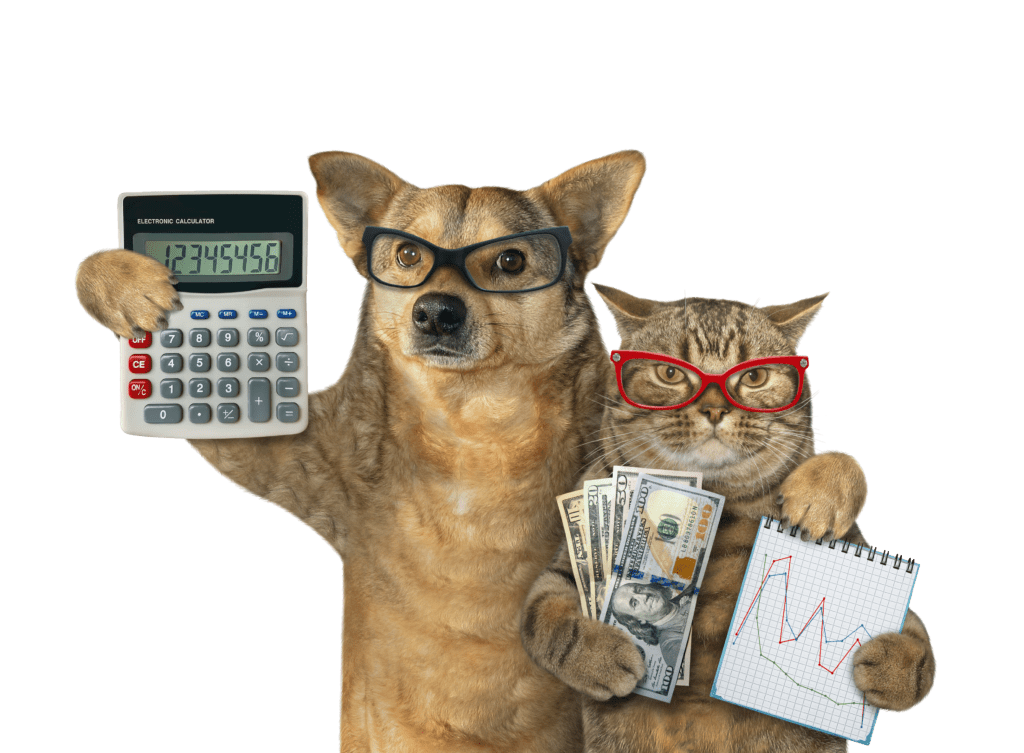 O gato segura um caderno com um gráfico financeiro e um punhado de dólares. O cão segura uma calculadora. Eles estão se abraçando.