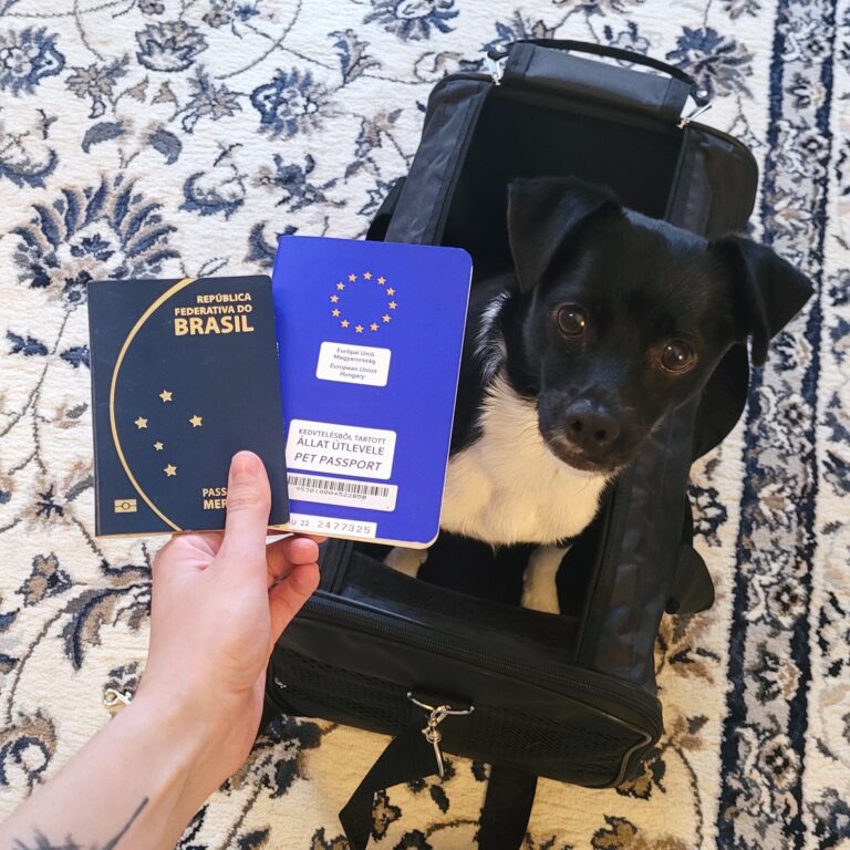 Viajar com cachorro - documentos
